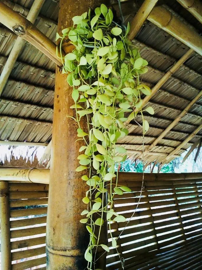 Baan Jing Jai Homestay Resort Lanta Ko Lanta Thaiföld