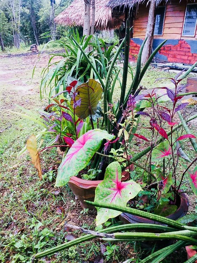 Baan Jing Jai Homestay Resort Lanta Ko Lanta 0*,