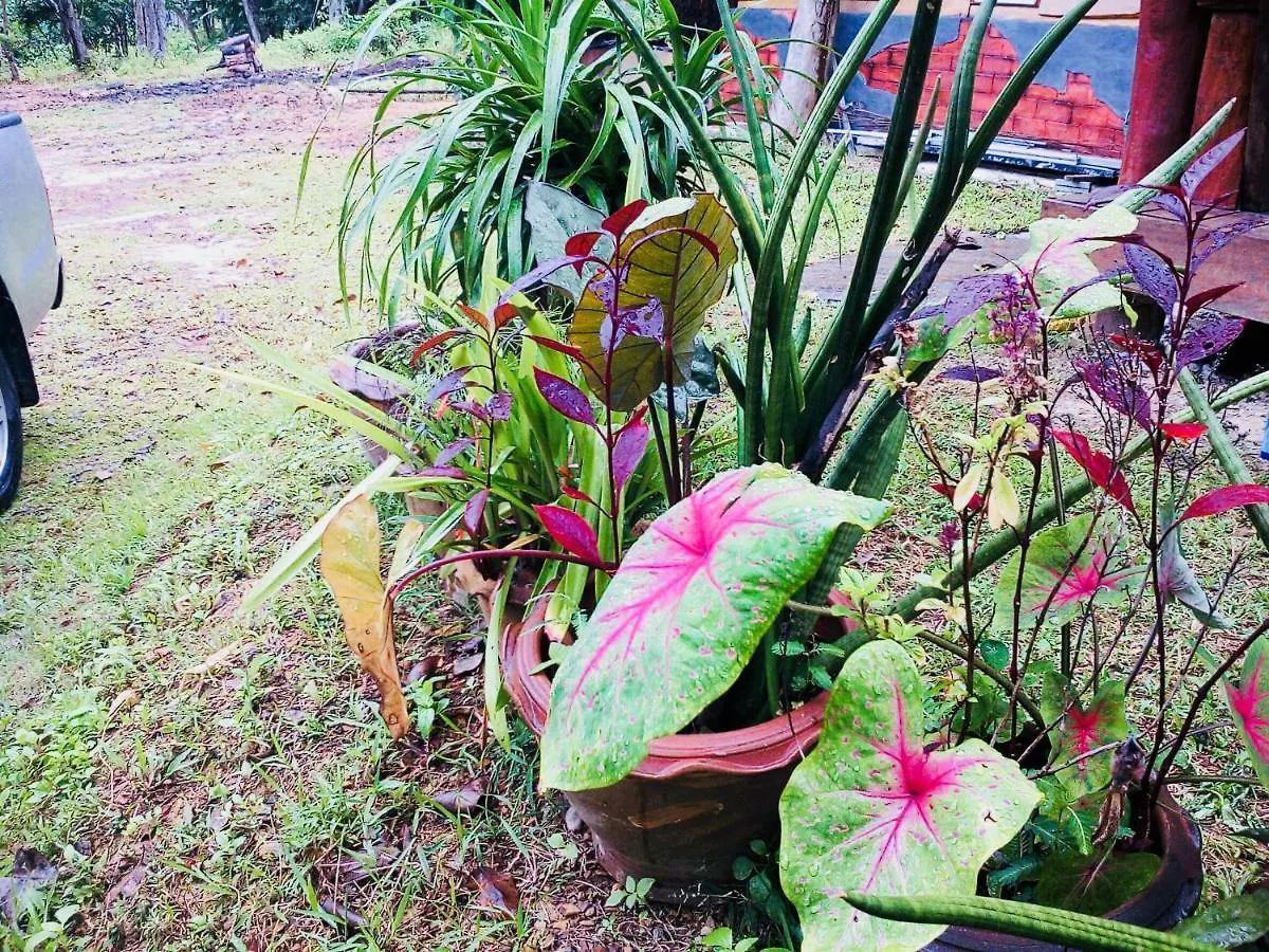 Baan Jing Jai Homestay Resort Lanta Ko Lanta